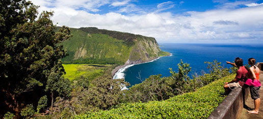 Big Island Real Estate